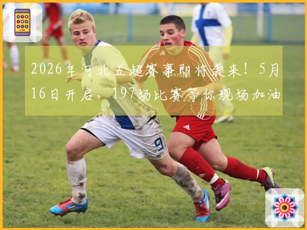 2026年河北五超赛事即将袭来！5月16日开启，197场比赛等你现场加油