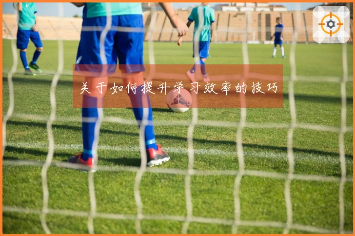 关于如何提升学习效率的技巧