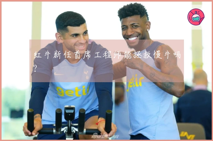 红牛新任首席工程师能拯救慢牛吗？